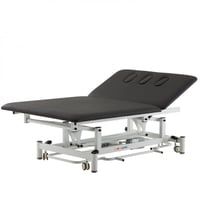 Bobath Coinfycare Elektrische Trage: Zweiteilig, Höhenverstellung, verstellbare Rückenlehne und PU-Polsterung für Physiotherapie und Rehabilitation