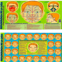 Blatt Reflexologie des Gesichts A4