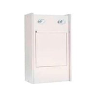 Freiliegender Keilwascher mit Stempeltank und zeitgesteuerten Hähnen: aus Edelstahl mit Keilauflage innen (45 x 30 x 75 cm)