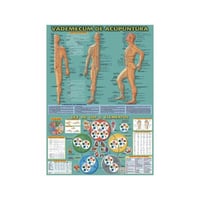 Akupunktur Vademecum 50 x 70 cm