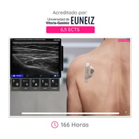 WAZO CAMPUS: Online-Kurs für den Bewegungsapparat. Offizielles Universitätszertifikat der Universität Vitoria-Gasteiz (EUNEIZ).