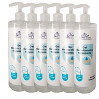 Schachtel mit 6 Einheiten Kinefis RAER Sanitizing Hydroalcoholic Gel 500 ml