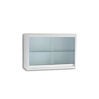 Wandmontierte Vitrine aus emailliertem Stahl (70 x 25 x 40) Wandmontierte Vitrine aus emailliertem Stahl (70 x 25 x 40)