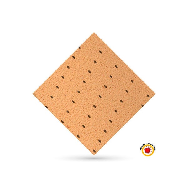 Evastar antibakteriell: wirksam gegen Escherichia Coli und Staphylococcus Aureus Bakterien (90 x 100 cm)