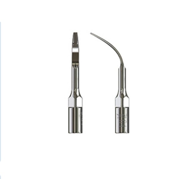 Punta Ultraschall Specht Typ 