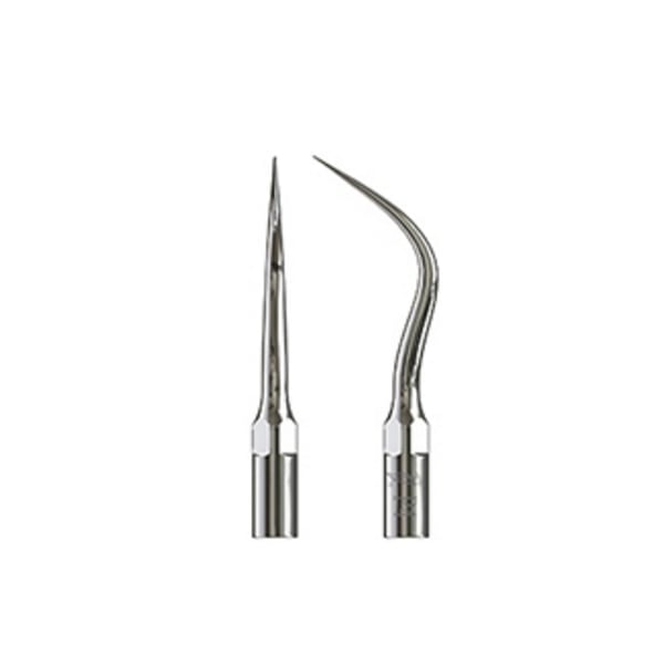 Punta Ultraschall Specht Typ 