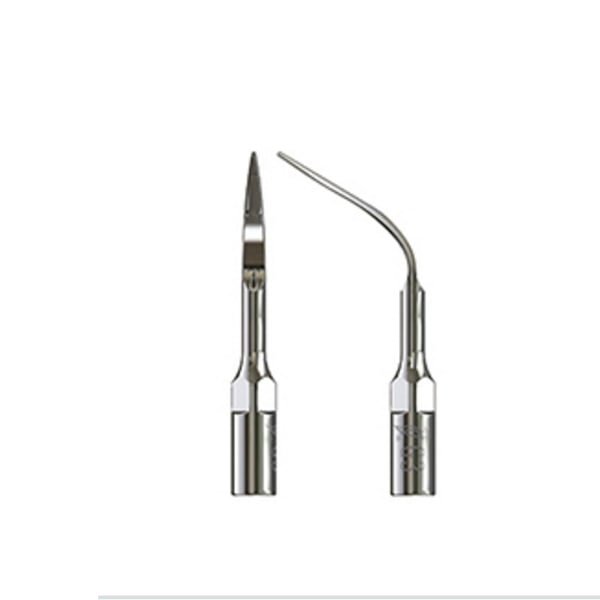 Punta Ultraschall Specht Typ 