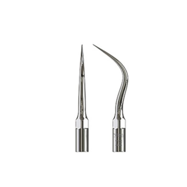 Punta Ultraschall Specht Typ 