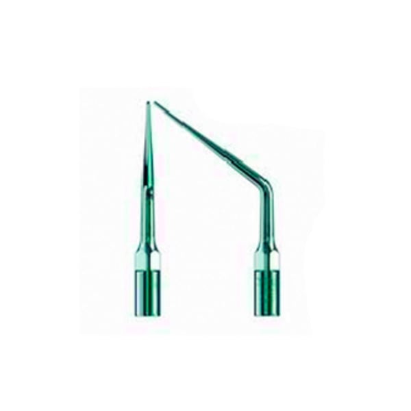 Punta Ultraschall Specht Typ 