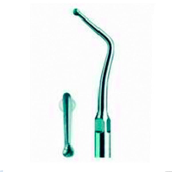 Punta Ultraschall Specht Typ 