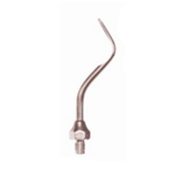 Punta Ultraschall Specht Typ 