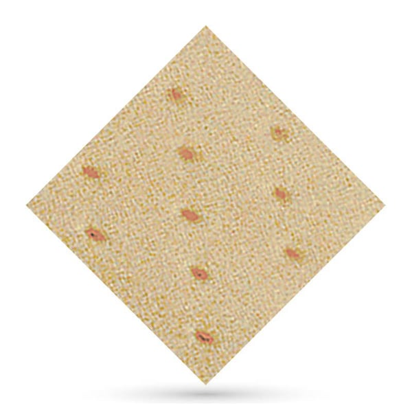 Herbiform perforiertes Fleisch 1 x 1 Meter 1,5 mm