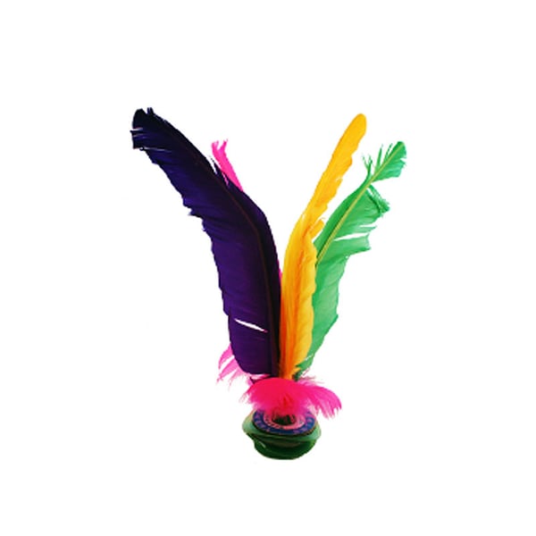 Indiaca Federfußball