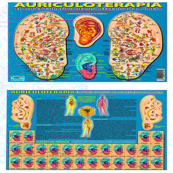 Aurikulotherapie-Poster Die Heilkraft der Ohrreflexe