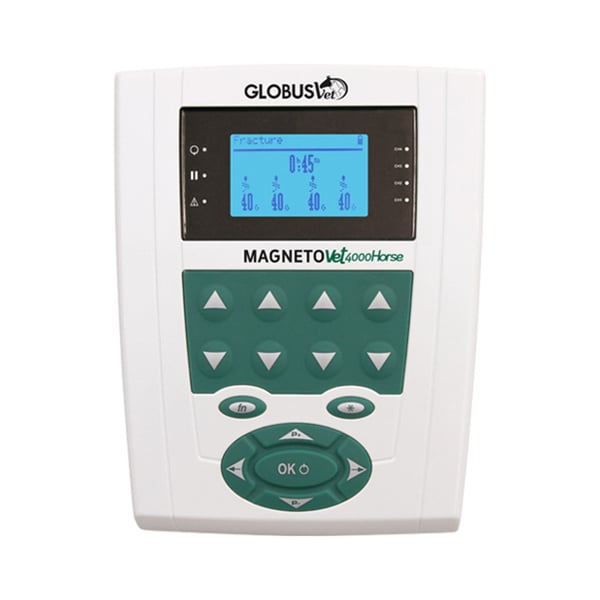 MagnetoVet 4000 Horse Pro: Magnetfeldtherapie für Pferde (Decke und Nackenschutz mit Magnetventilen im Lieferumfang enthalten)