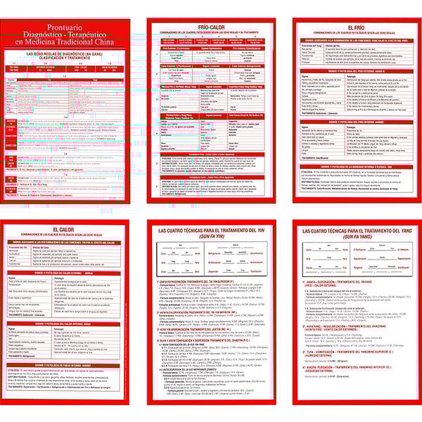 Diagnostik - Therapeutisches Handbuch in MTC