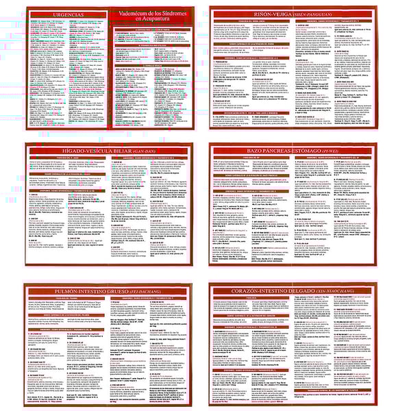 Vademecum der Syndrome in der Akupunktur