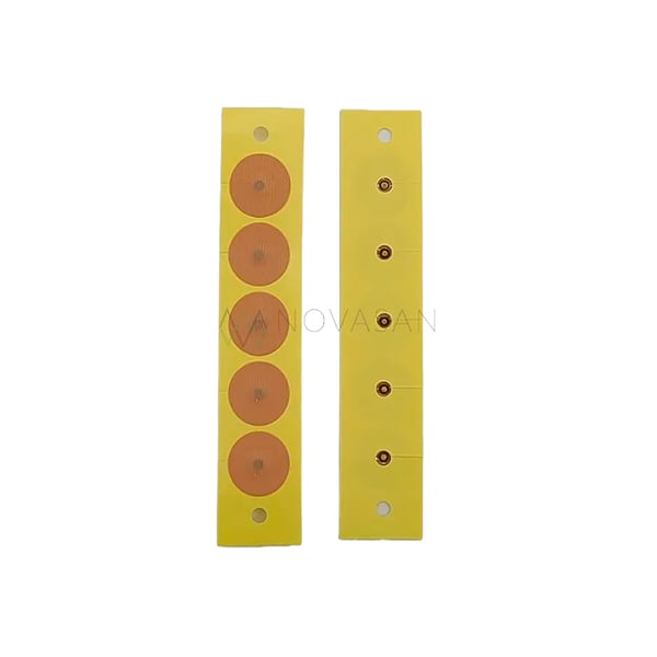 Magrain Steel Pellets (50 Stück): Präzise und professionelle Ohrakupressur