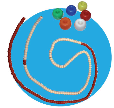 Aquatic Lane Rope Roma (Donut) mit Seil und Karabiner (25 Meter)