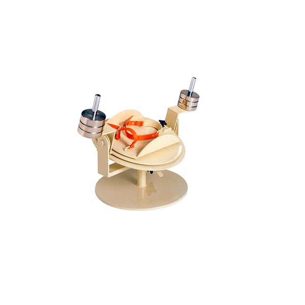 Gerät für Übungen zur Umerziehung des Sprunggelenks: ideal für Rehabilitations- und Physiotherapiebehandlungen