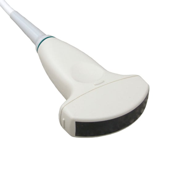 MicroConvex MC6-A Sonde für Chison Eco Ultraschallgeräte: Frequenz 4,5 - 8 MHz (Bandbreite 15 mm)