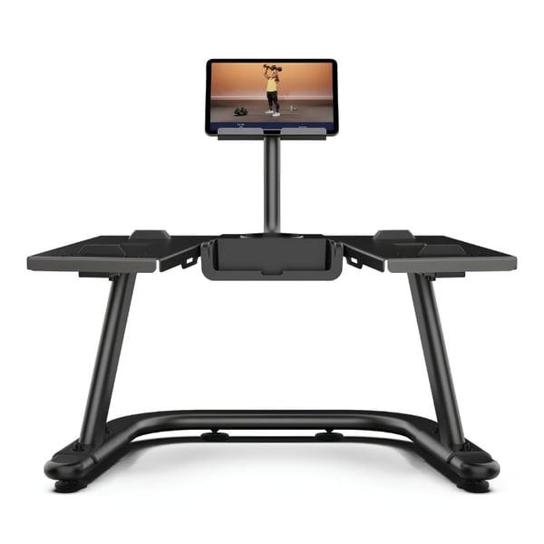 BowFlex SelectTech Hantelständer mit Entertainment-Halterung
