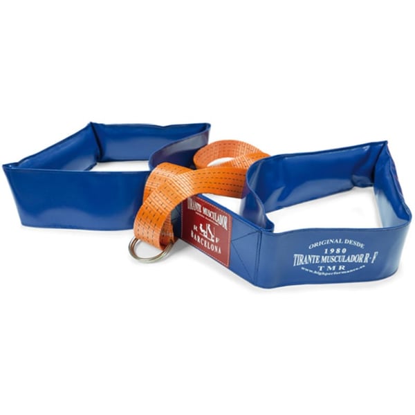 Band für Muskelbildung (Oberklasse)