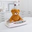 Elektronische Babywaage ADE: Profiklasse, Dämpfungssystem, Maximalgewicht 20 kg und Teilung 5 gr Elektronische Babywaage ADE: Profiklasse, Dämpfungssystem, Maximalgewicht 20 kg und Teilung 5 gr