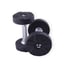 Dumbbells Urethane Premium-Ausführung mit Edelstahl-Griff