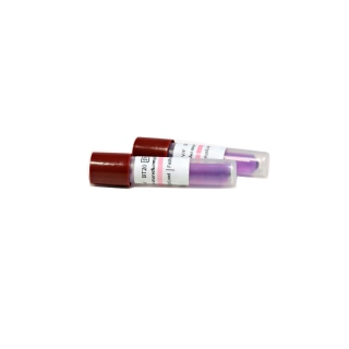 Biologischer Sterilisationsindikator BT20 (Packung mit 30 oder 100 Einheiten)