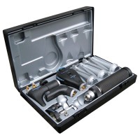 Riester Vet de luxe I HNO-Koffer, für größere Tiere XL/HL 2,5 V, Griff C