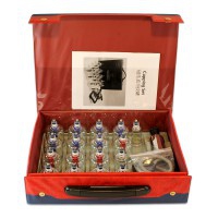 Koffer mit magnetischen Kunststoff-Saugnäpfen mit Pistole: Set mit 17 Saugnäpfen (fünf Größen verfügbar)