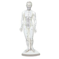 Weibliches menschliches Körpermodell 46 cm: 361 Akupunkturpunkte und 80 neugierige Punkte