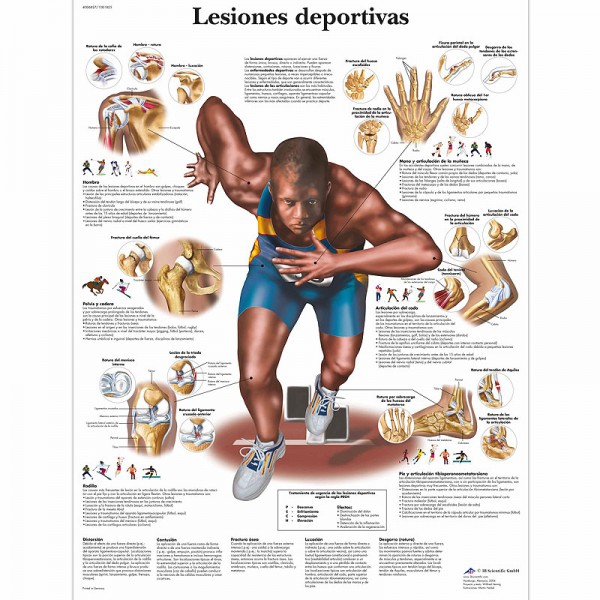 Anatomiediagramm: Sportverletzungen