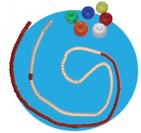 Aquatic Lane Rope Roma (Donut) mit Seil und Karabiner (25 Meter) Aquatic Lane Rope Roma (Donut) mit Seil und Karabiner (25 Meter)