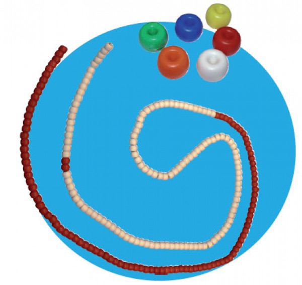 Aquatic Lane Rope Roma (Donut) mit Seil und Karabiner (25 Meter) Aquatic Lane Rope Roma (Donut) mit Seil und Karabiner (25 Meter)