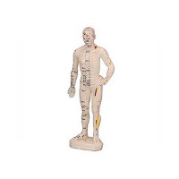 Männlich Menschlicher Körper (Gummi 26 cm)