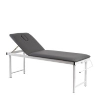 Coinfycare Fix Feste Trage: Zweiteilig, Profi für Physiotherapie und Massage mit verstellbarer Rückenlehne und antibakterieller Polsterung Coinfycare Fix Feste Trage: Zweiteilig, Profi für Physiotherapie und Massage mit verstellbarer Rückenlehne und antibakterieller Polsterung
