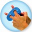 Thera-Band Hand Xtrainers: multifunktionale Trainingsgerät Finger, Hände, Handgelenke und Unterarme Thera-Band Hand Xtrainers: multifunktionale Trainingsgerät Finger, Hände, Handgelenke und Unterarme