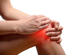 Gelenk- und Knochengesundheit Gelenk- und Knochengesundheit