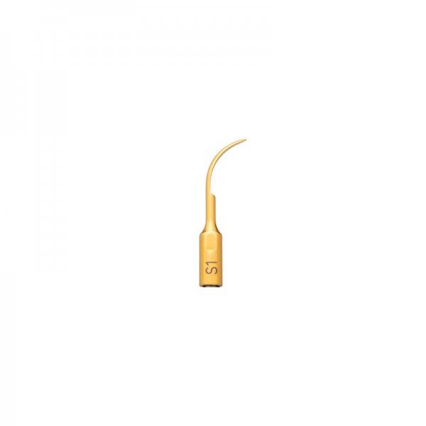 Spitze S1 Nitro Gold einlegen: Einsatz zur Zahnsteinentfernung