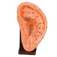 Linkes Ohr Weichgummi 17 cm Linkes Ohr Weichgummi 17 cm