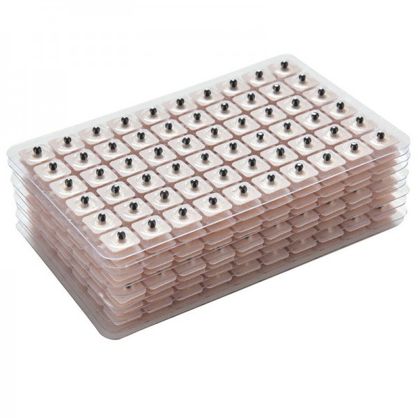 Senfkörner: ideal für Aurikulotherapie-Behandlungen (240 Einheiten) Senfkörner: ideal für Aurikulotherapie-Behandlungen (240 Einheiten)