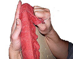 Polster für klinische Möbel Polster für klinische Möbel